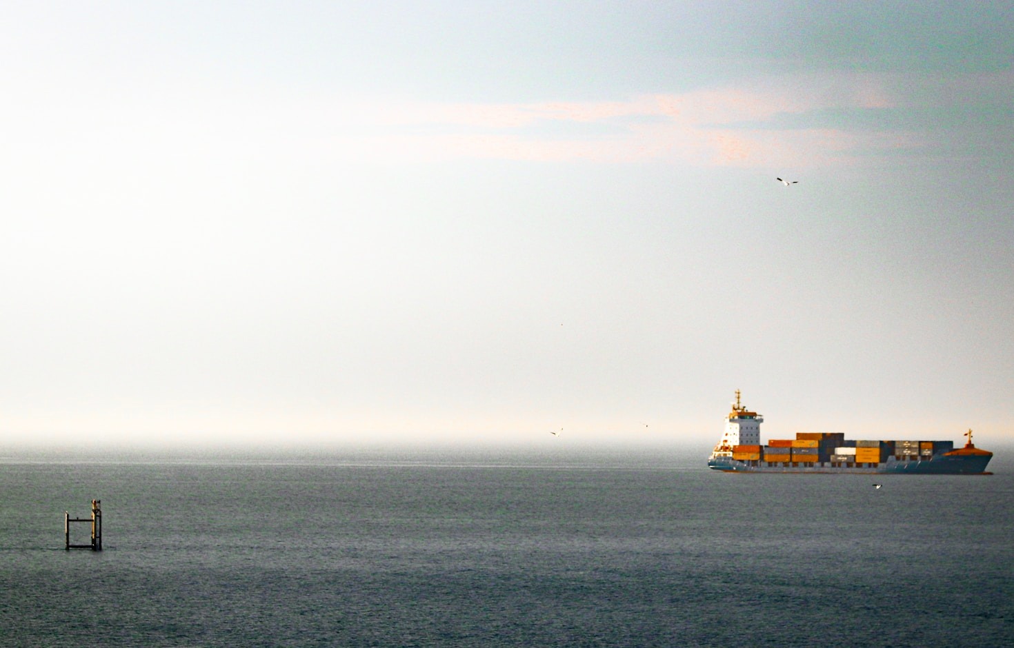 Understanding Freight Forwarding With Cargo Foxes