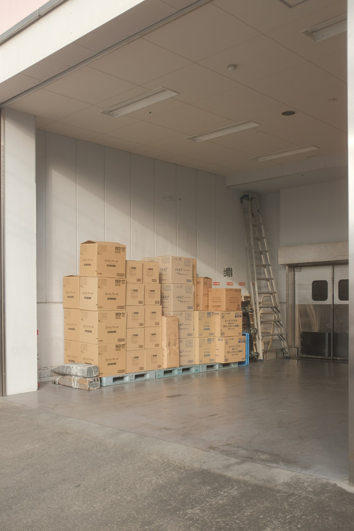 Top Benefits of Partnering With a Trusted Logistics Provider