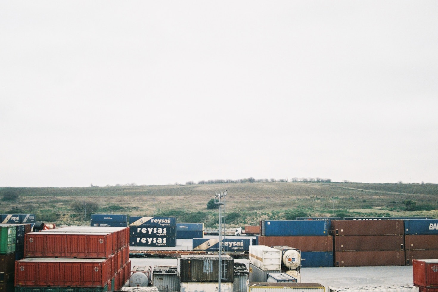 Cost-Effective Shipping: Tips From Cargo Foxes